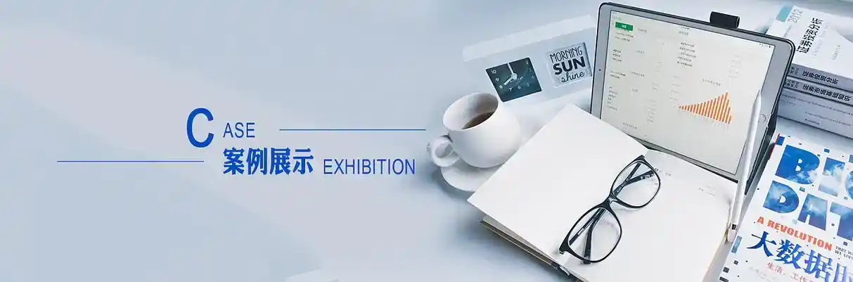 廊坊软件开发